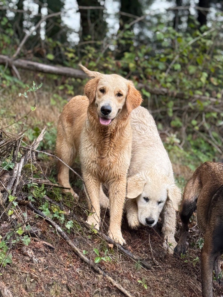 Very happy De La Deesse Des Volcans