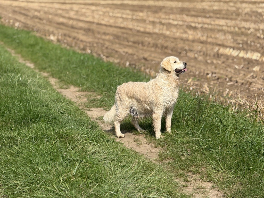 Pagaille des jardins d epona